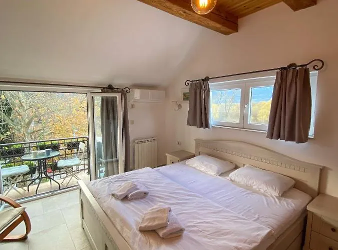 Vida\'S House